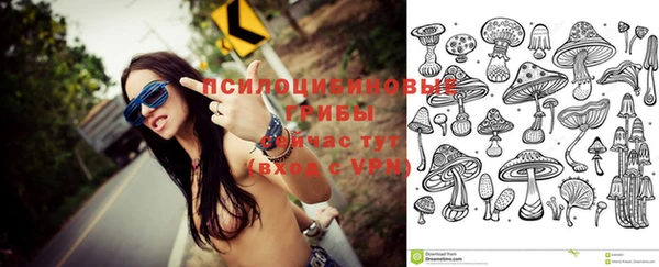 твердый Кулебаки