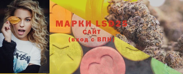 твердый Кулебаки